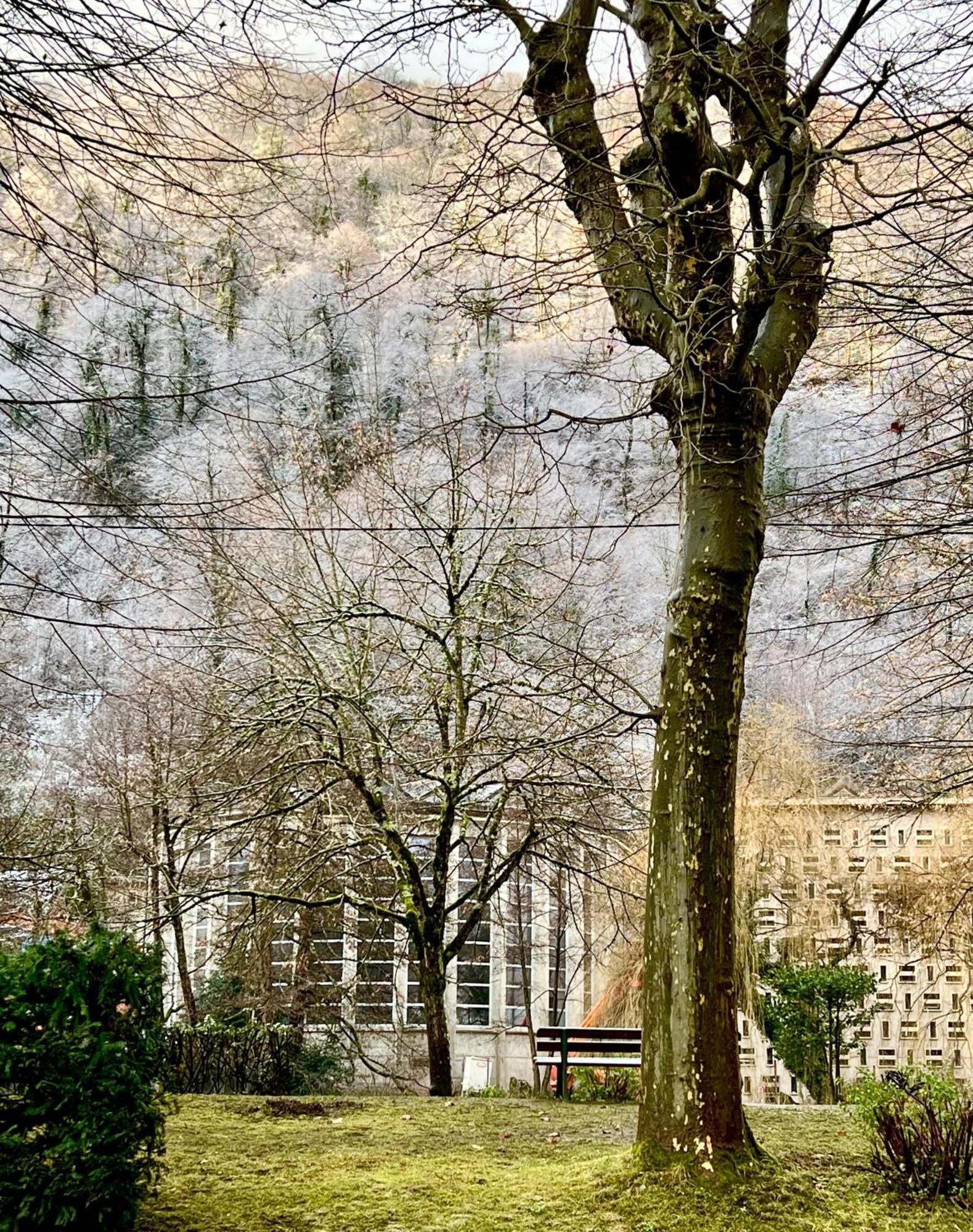 Fantastic Ground Floor Apartment Opposite Thermes Bagnères-de-Luchon Екстериор снимка